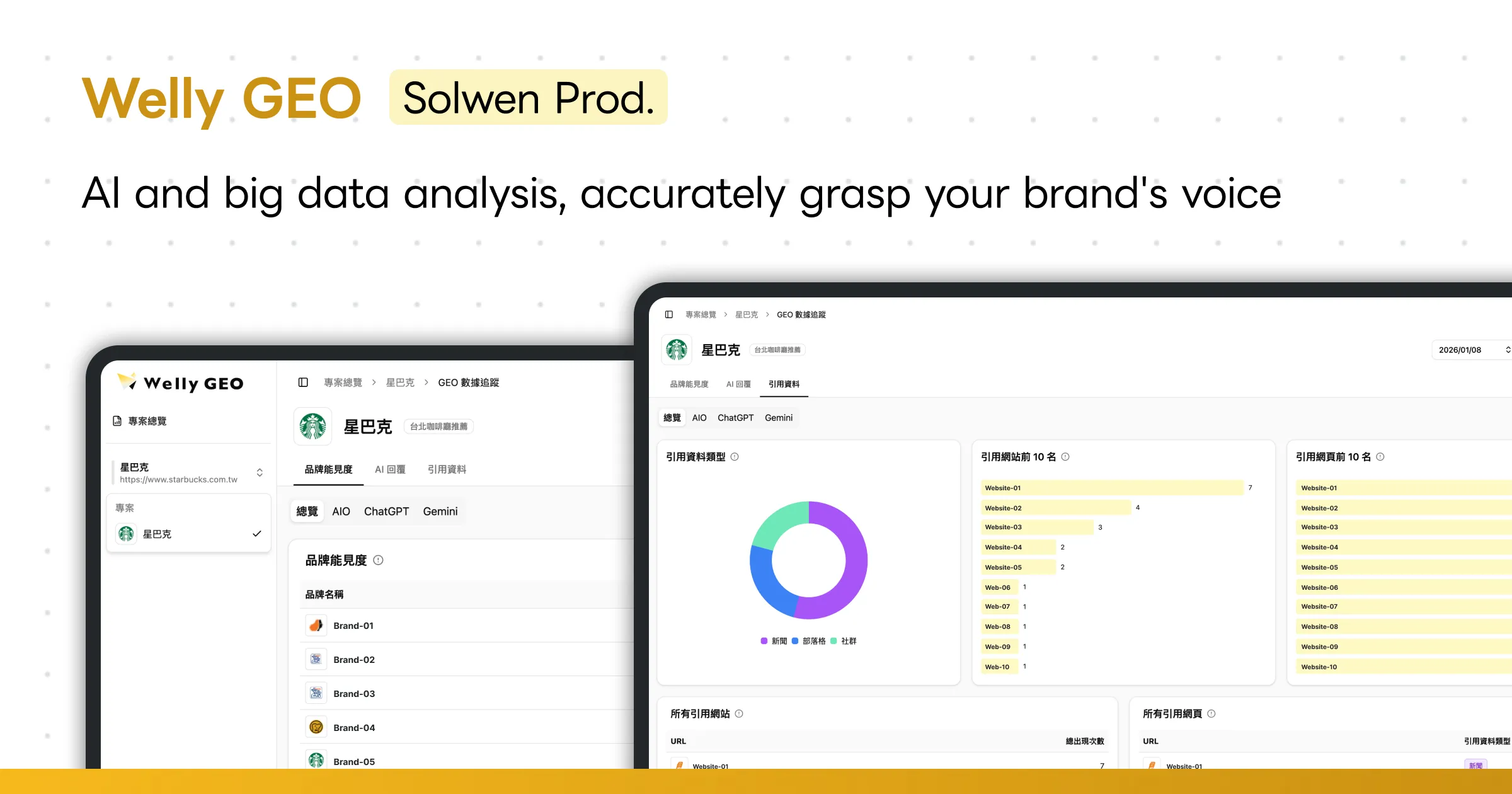 WellyGeo - AI Brand Visibility Tracking Platform